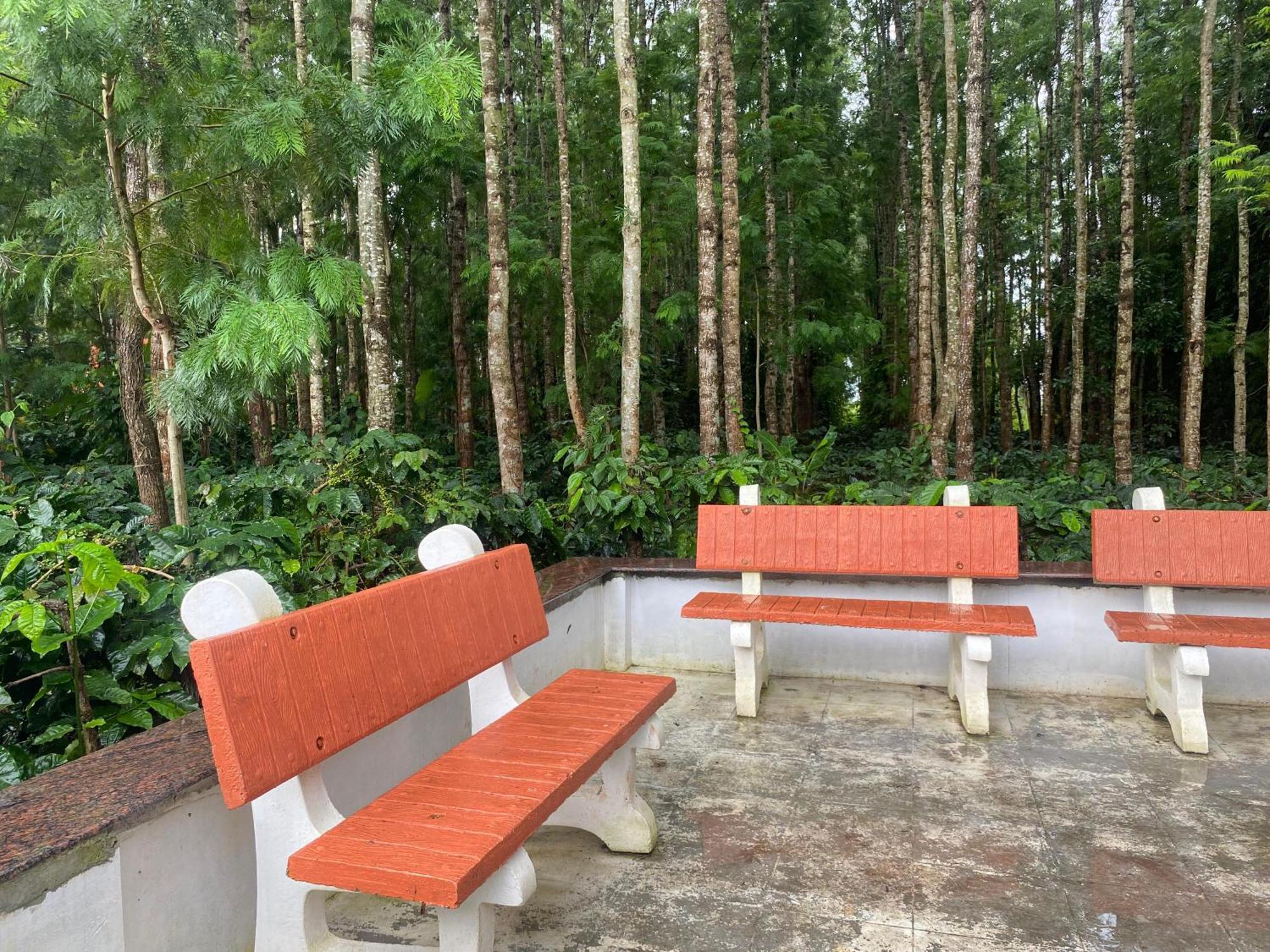 Bougain Villa Chikmagalūr Extérieur photo